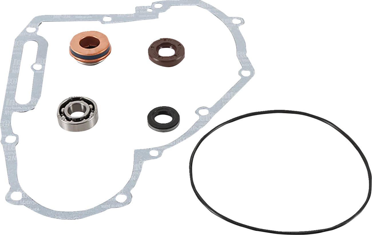 Water Pump Repair Kit