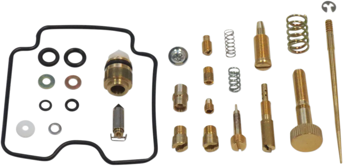 Carburetor Repair Kit