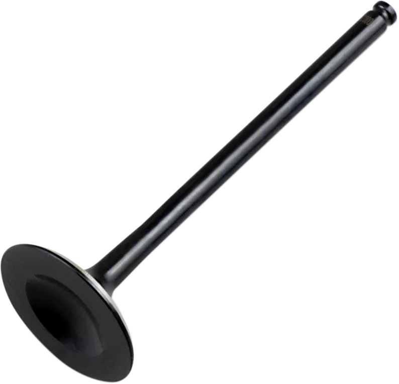 Replacement Valve