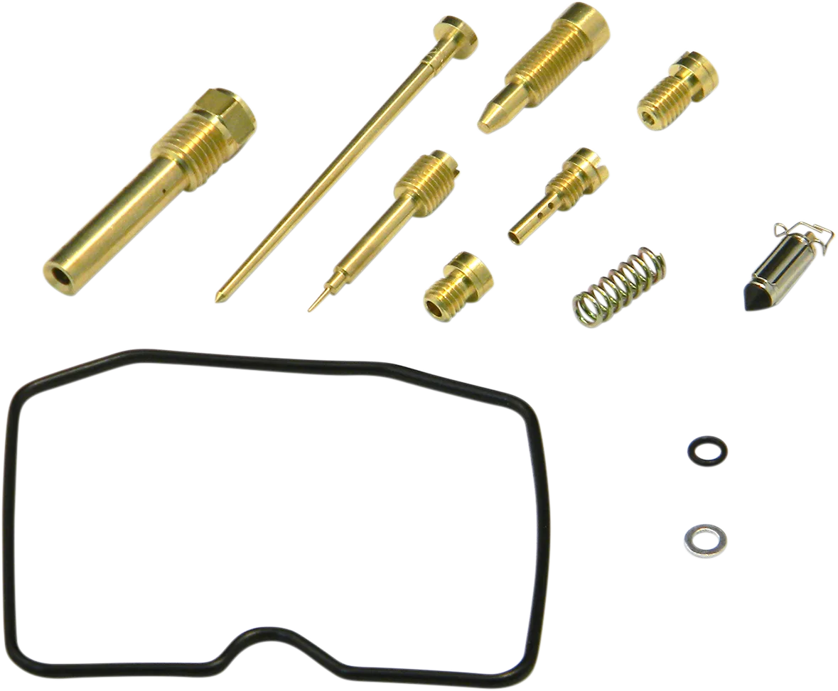 Carburetor Repair Kit