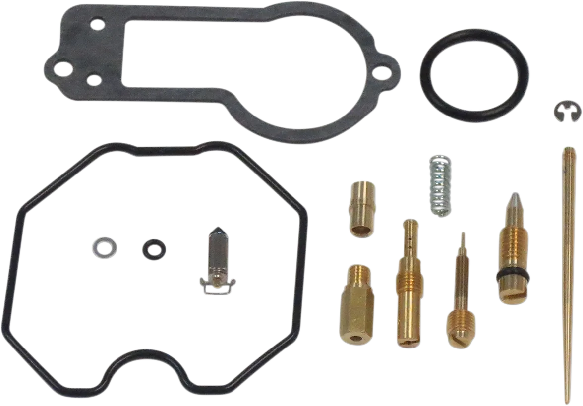 Carburetor Repair Kit
