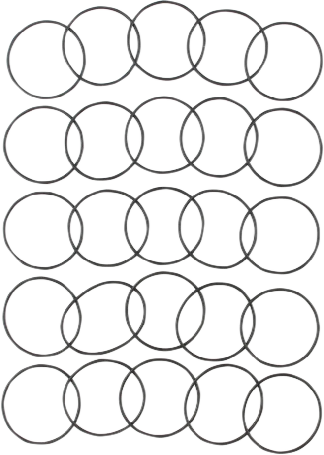 Starter O-Ring