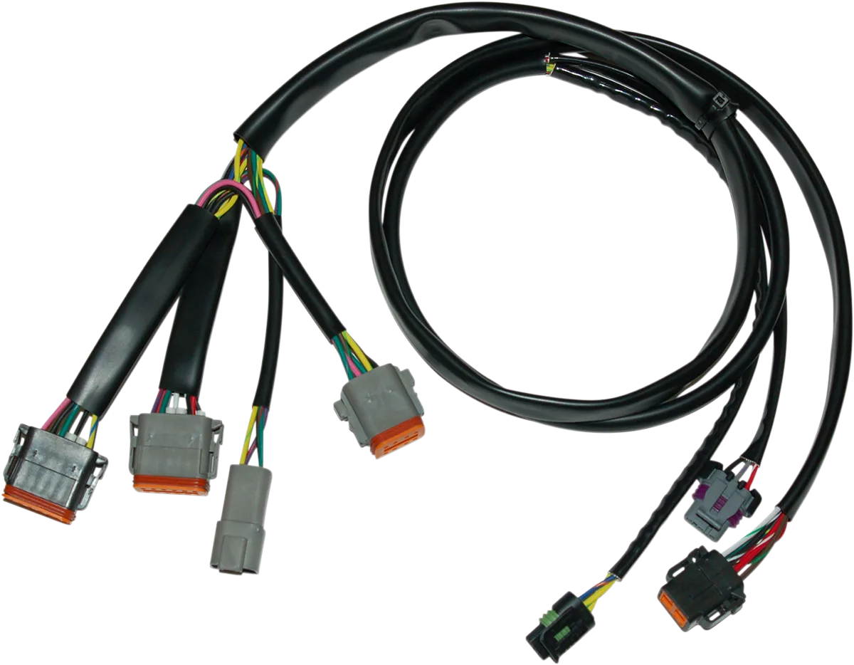 Ignition Wiring Harness