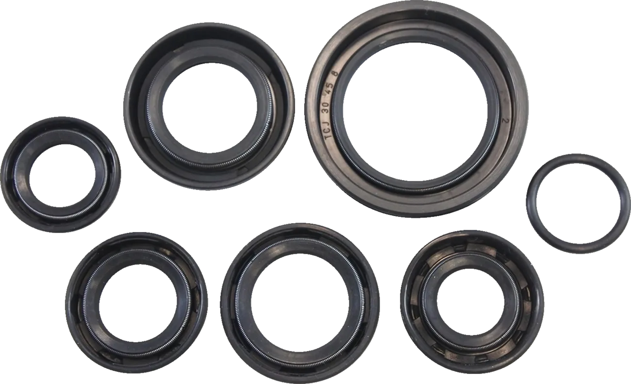 Oil Seal Kit