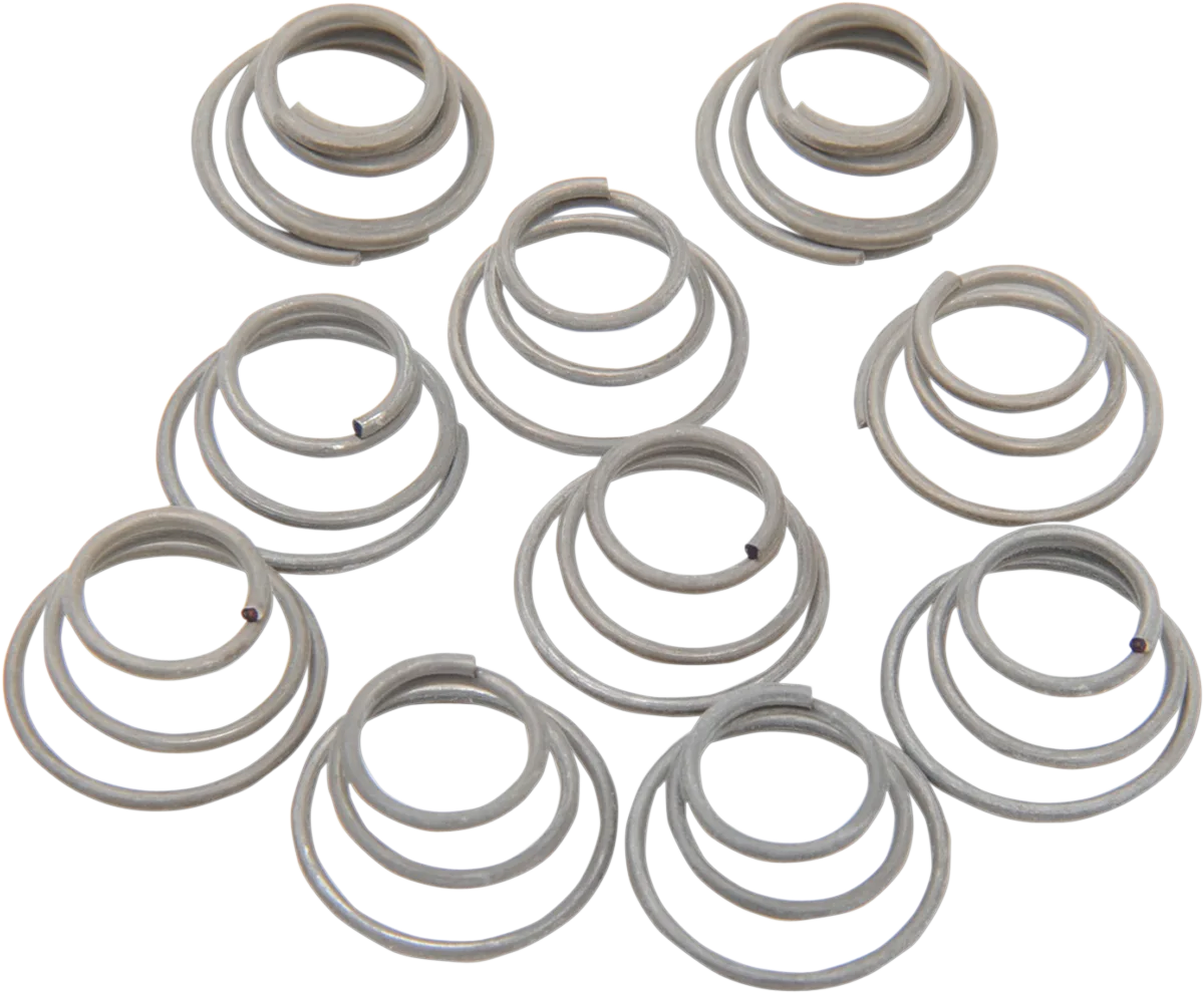 Hub Bearing Plate Retainer Springs