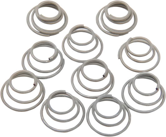 Hub Bearing Plate Retainer Springs
