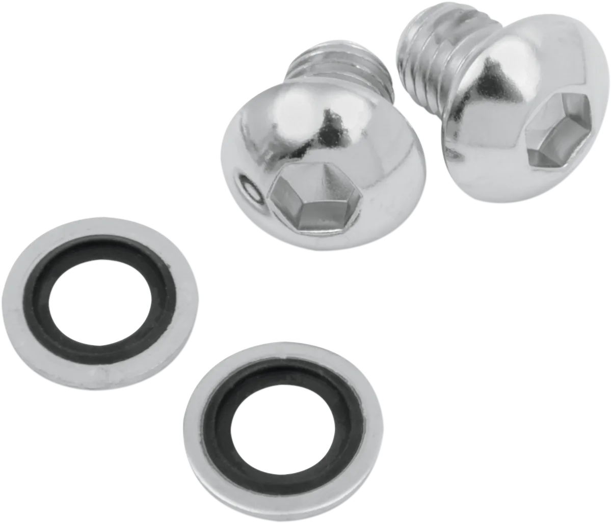 Fork Drain Screw Kit
