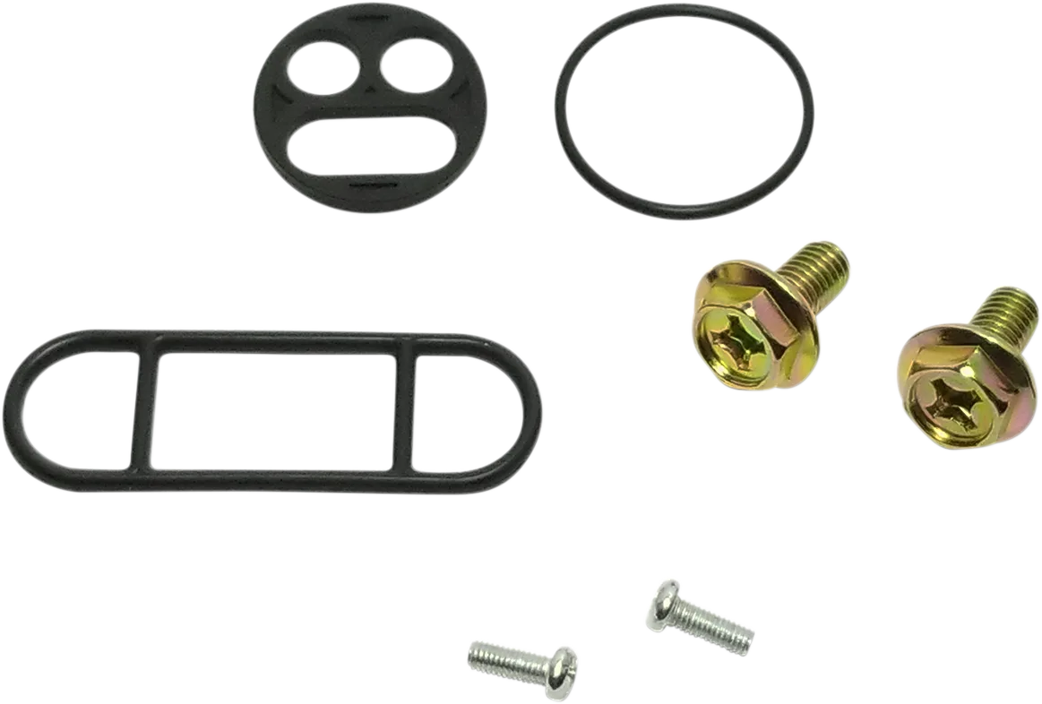 Fuel Petcock Repair Kit
