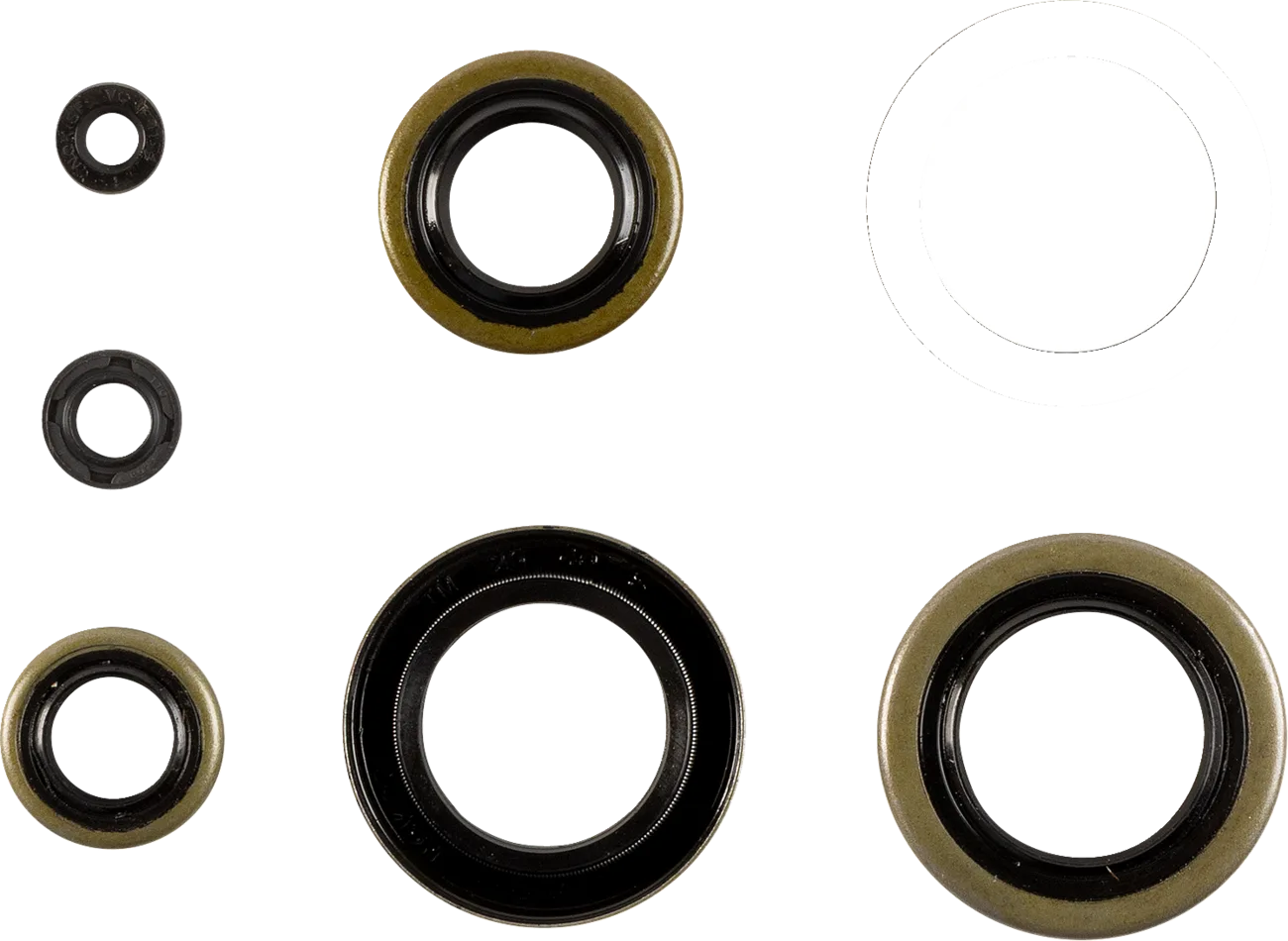 Oil Seal Set