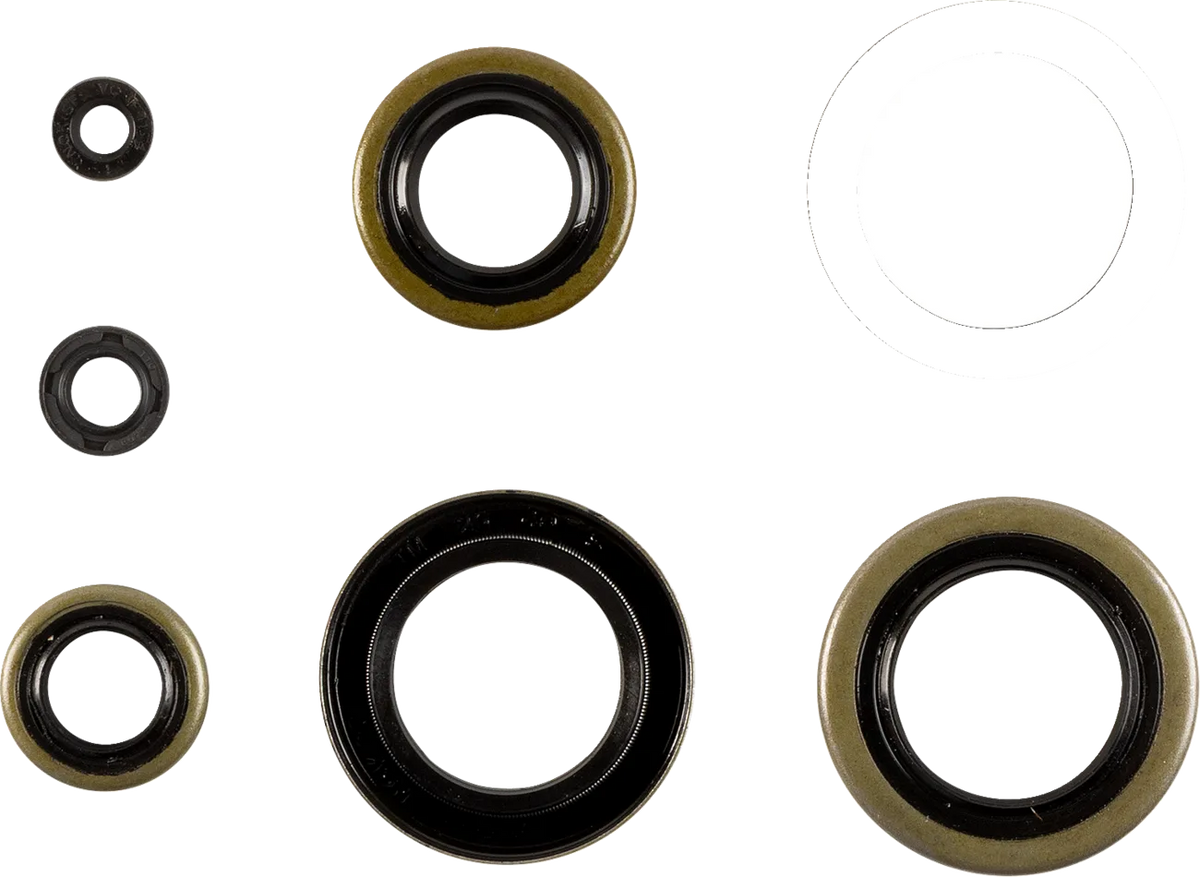 Oil Seal Set