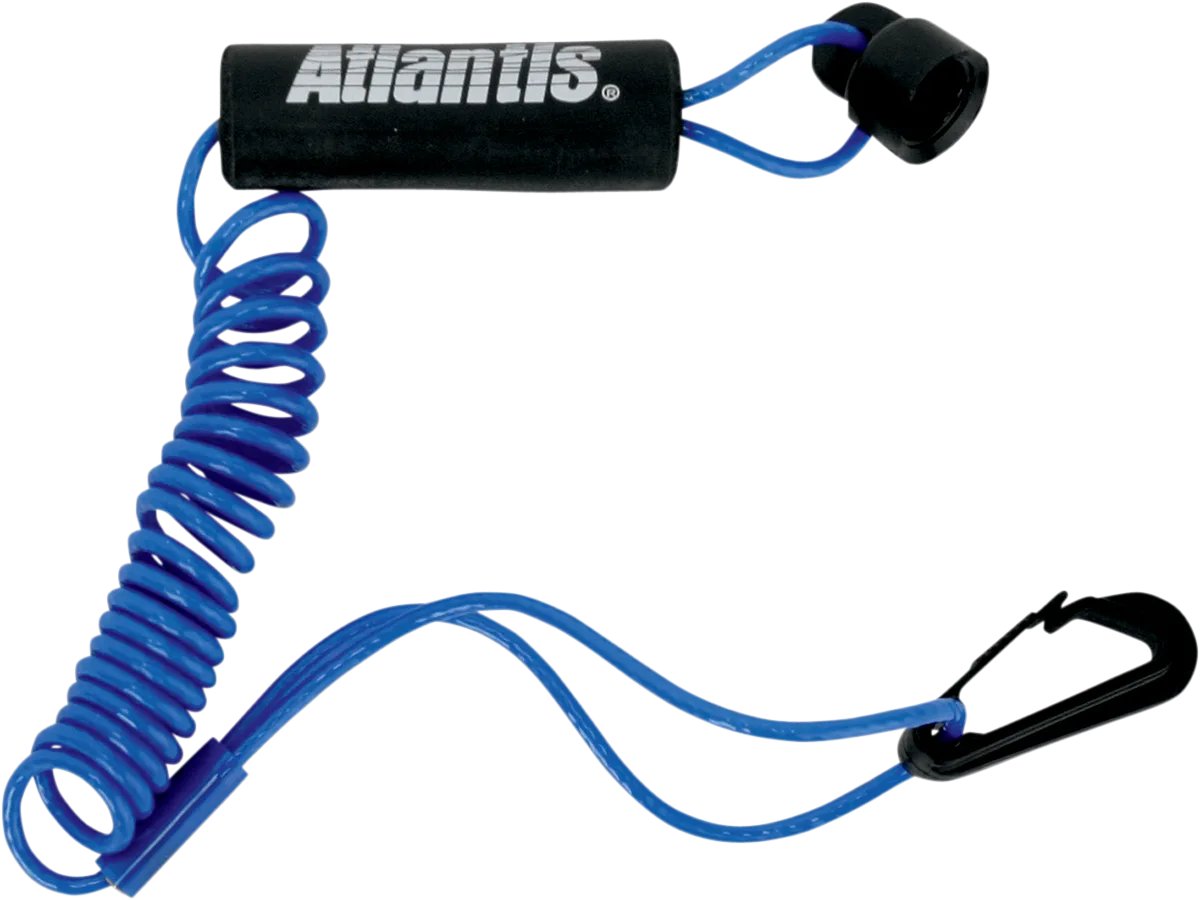 Lanyard
