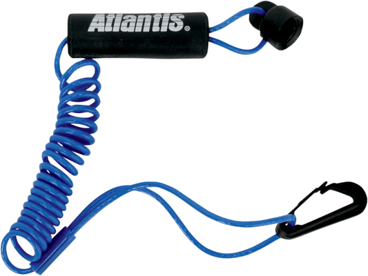 Lanyard
