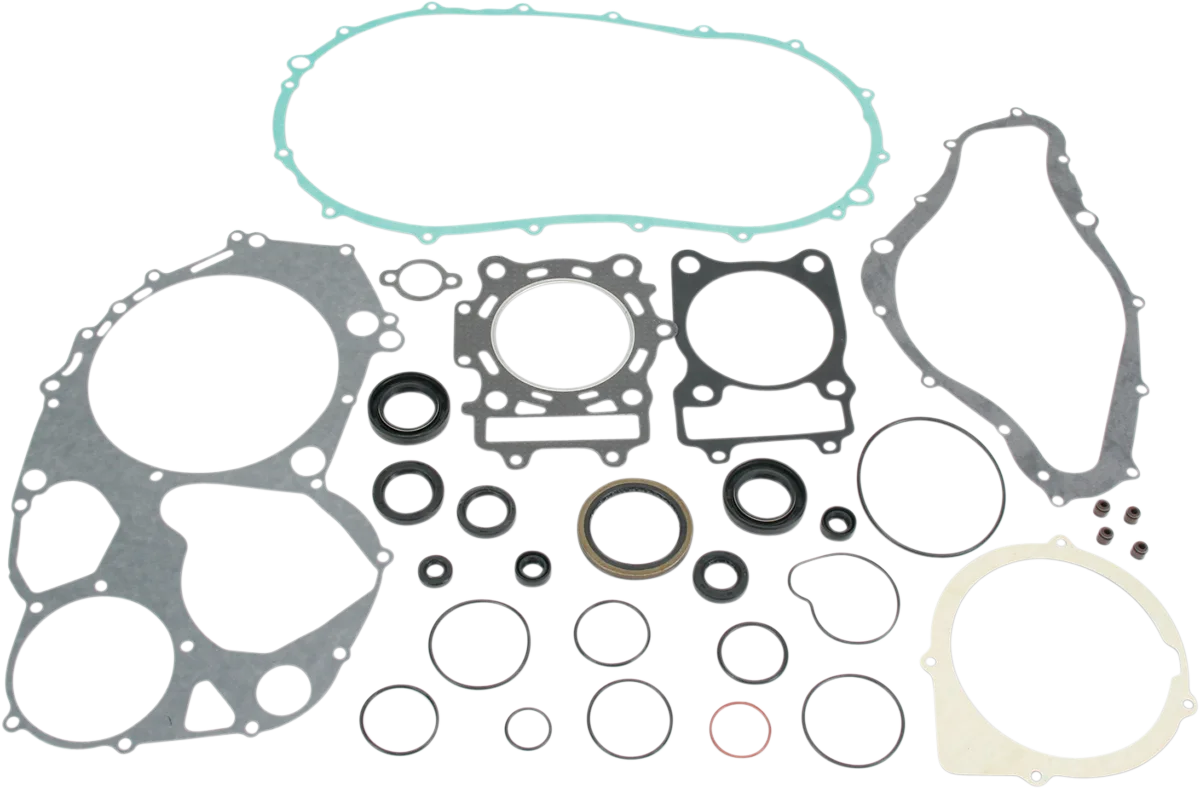 Complete Gasket and Oil Seal Kit