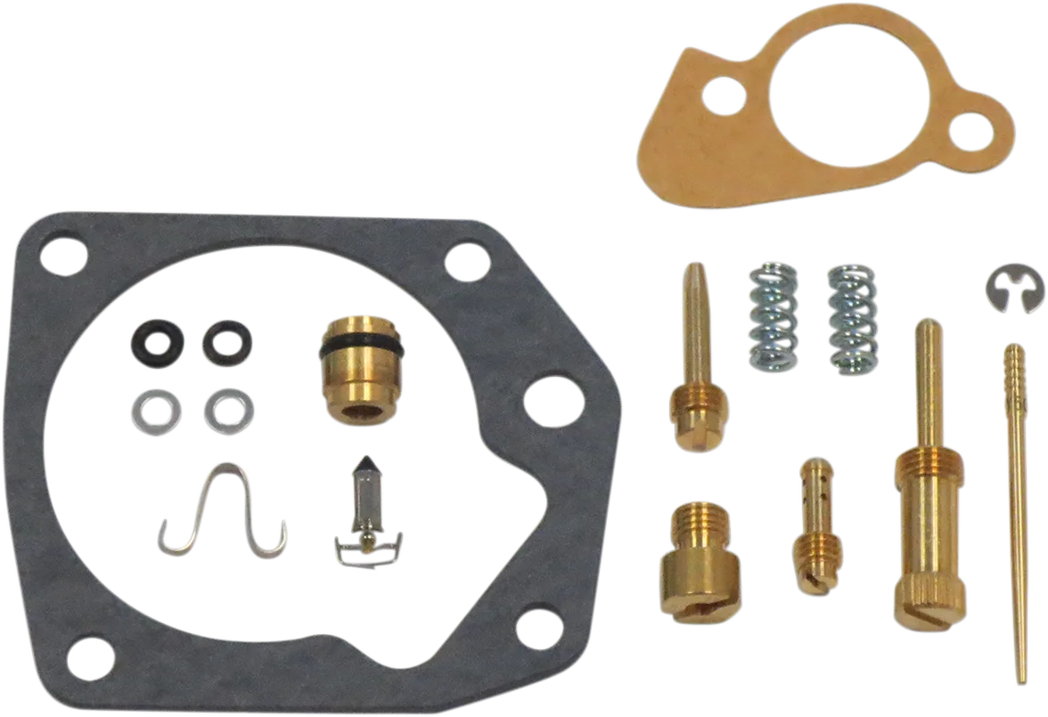 Carburetor Repair Kit