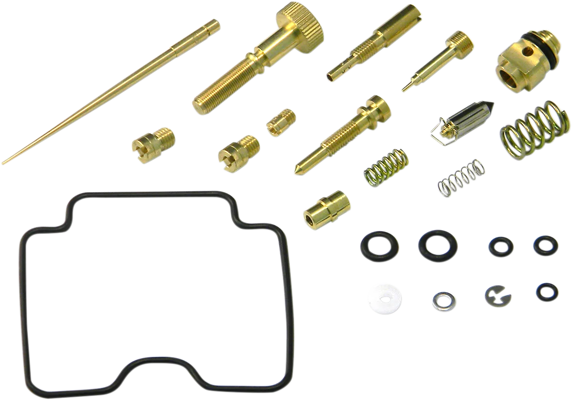 Carburetor Repair Kit