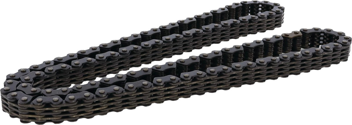 Cam Chain