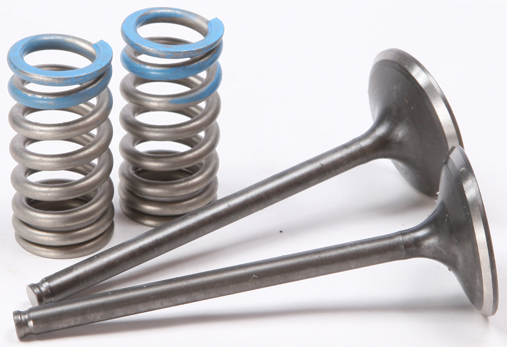 Steel Intake Spring Kit