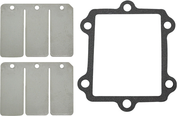 Reed Valve Rebuild Kit