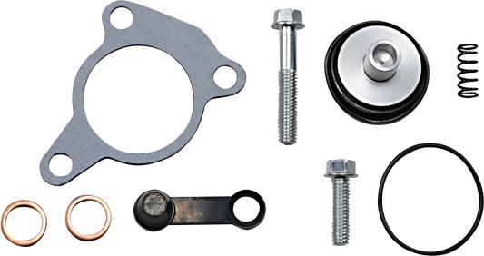 Clutch Slave Cylinder Rebuild Kit