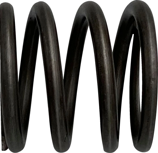 Fork Spring