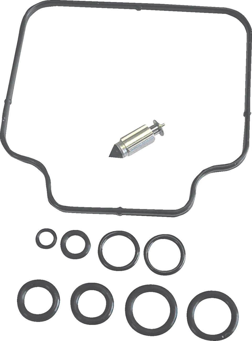 Carburetor Repair Kit