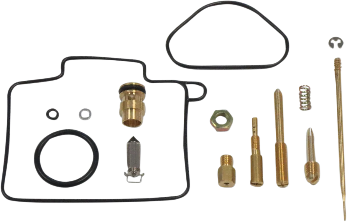 Carburetor Repair Kit