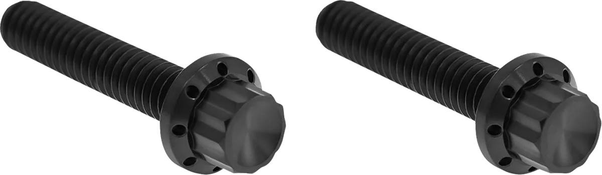 Transmission Side Cover Titanium 12-Point Bolt Cover