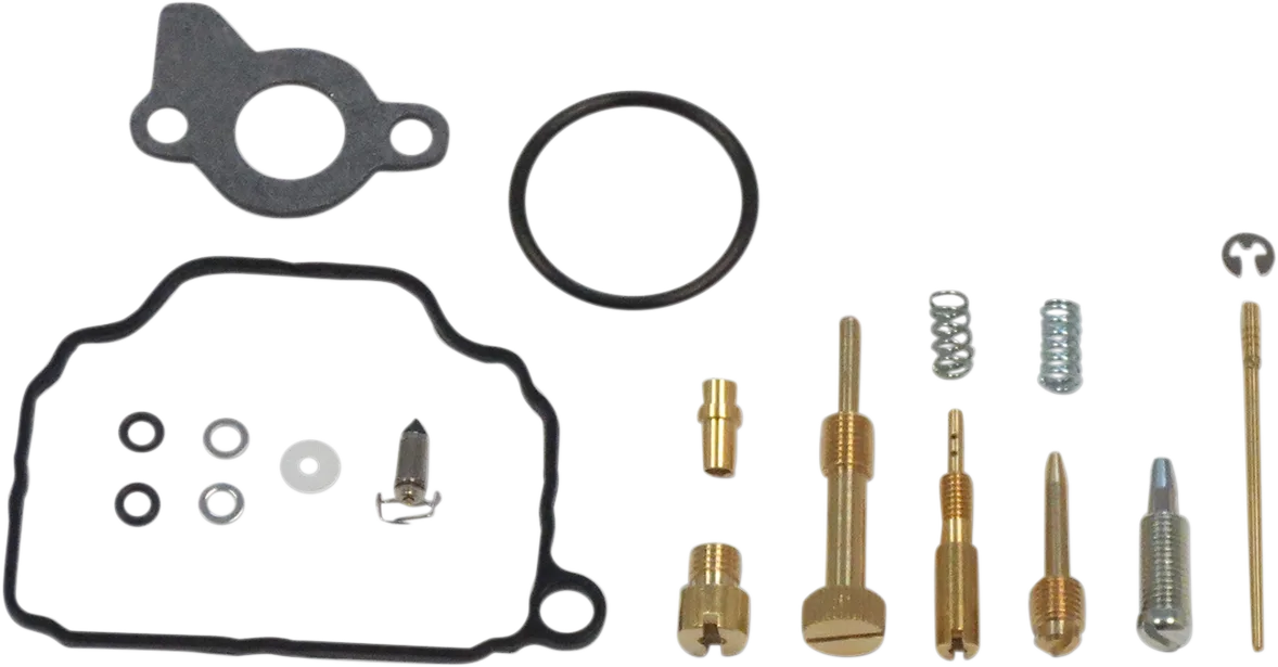 Carburetor Repair Kit