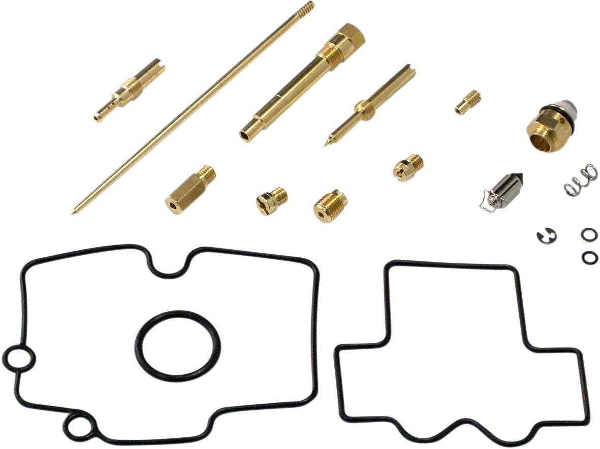 Carburetor Repair Kit