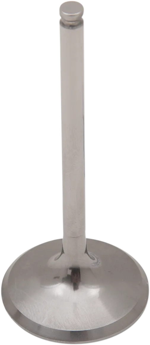 Titanium Engine Valve