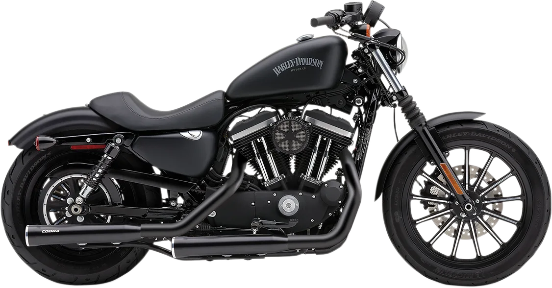 Slip-On Mufflers with Race-Pro Tips