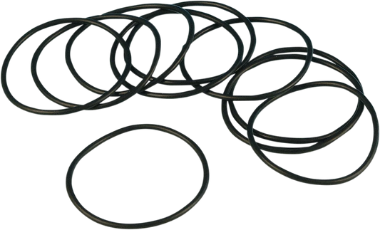 Oil Pump O-Ring