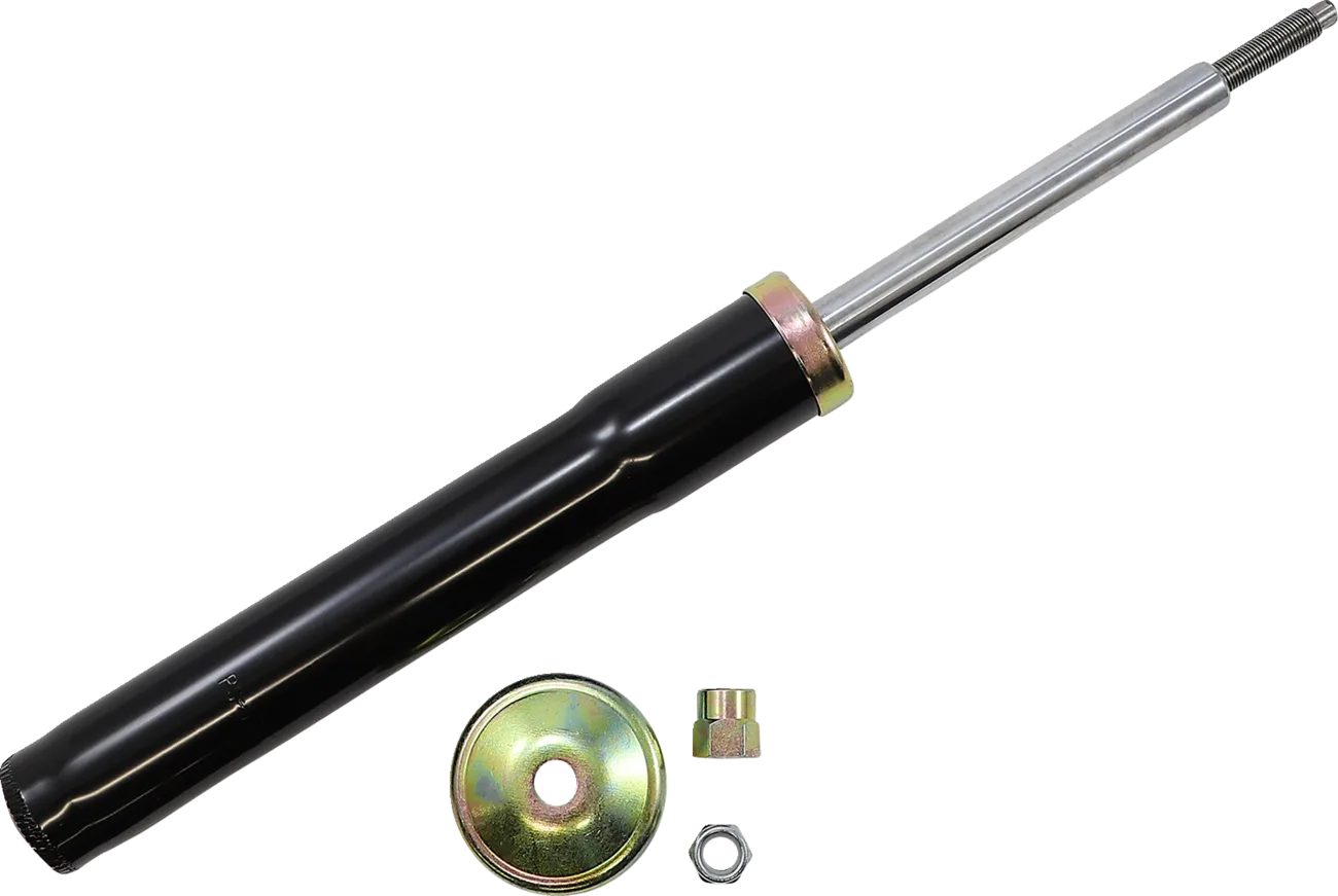 Front Strut