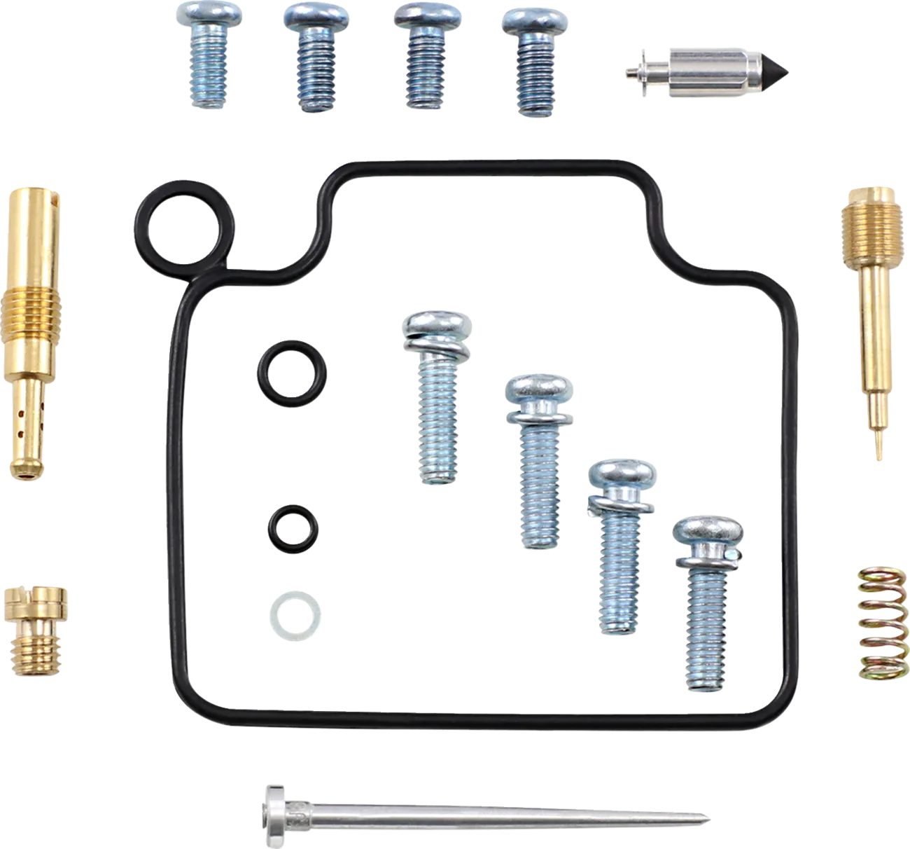 Carburetor Repair Kit