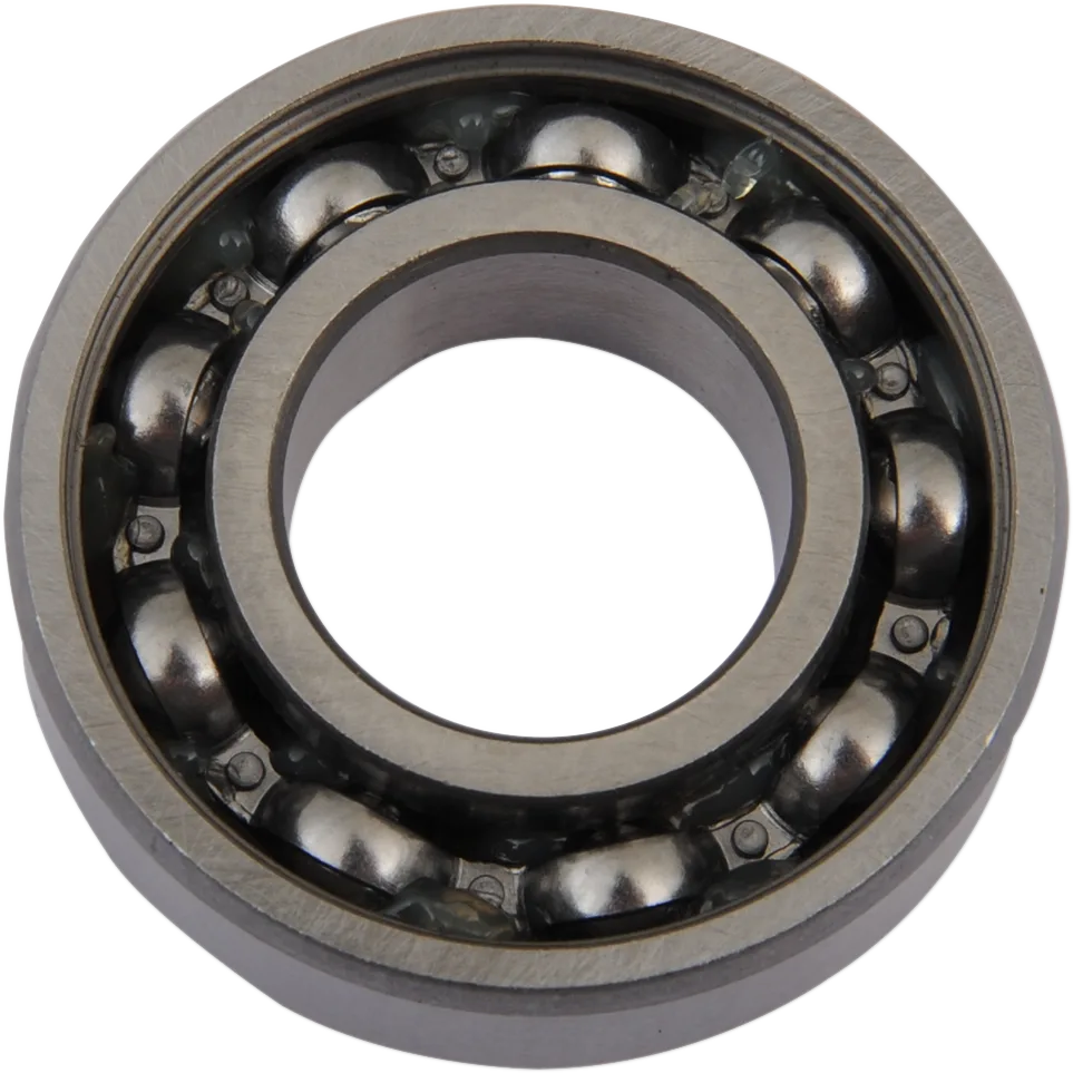 Outer Cam Bearing