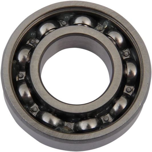 Outer Cam Bearing