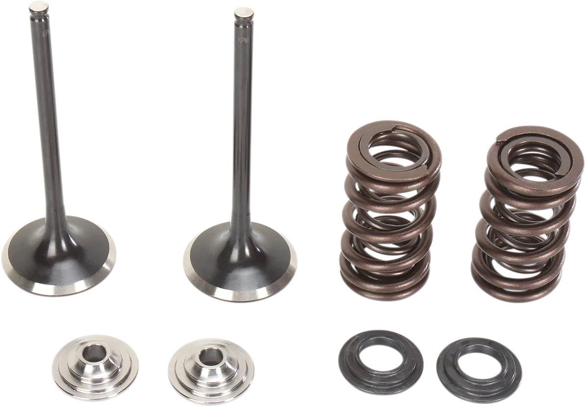 Intake Valve and Spring Kit