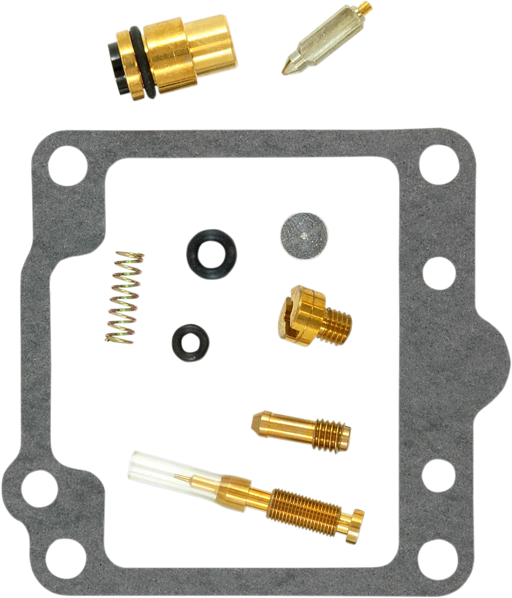 Carburetor Repair Kit