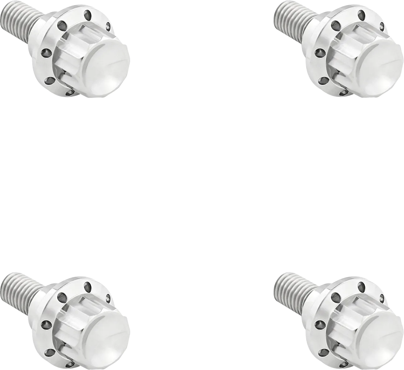 Windshield Titanium 12-Point Bolt Kit