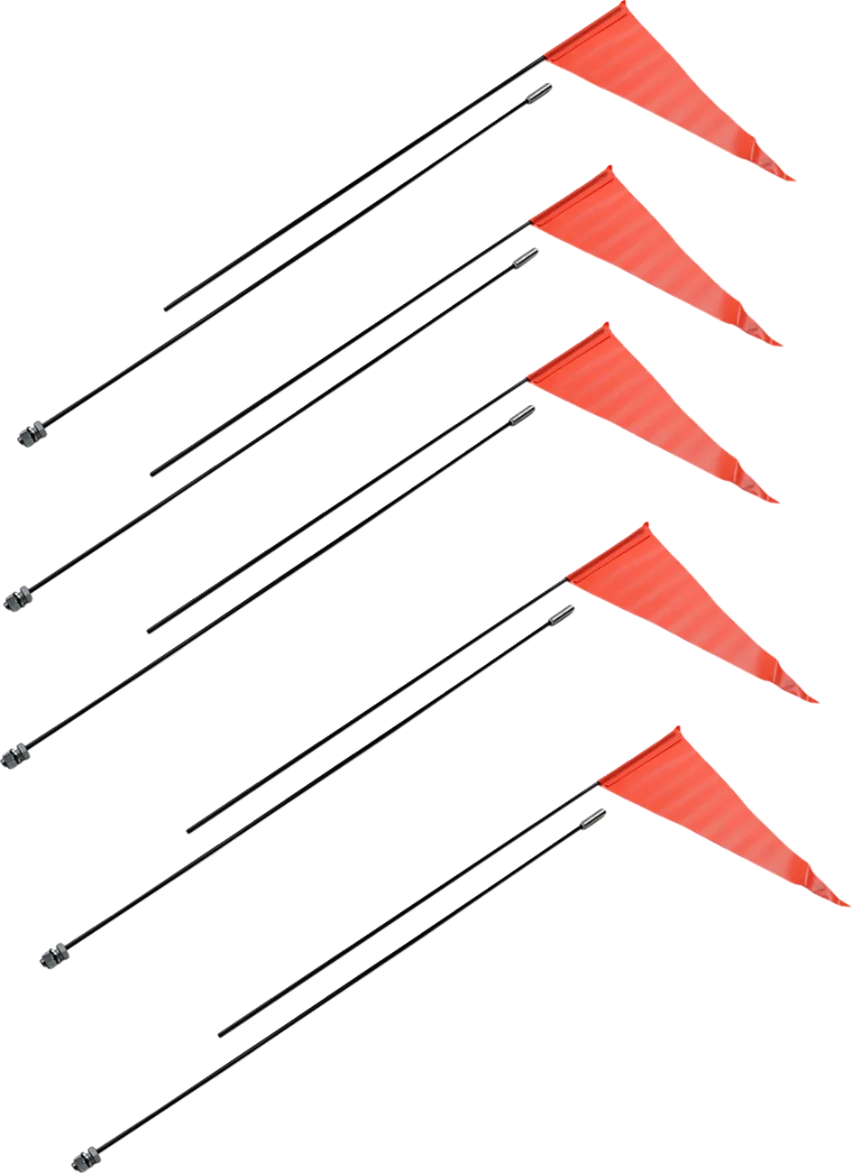 Flag with Fiberglass Pole