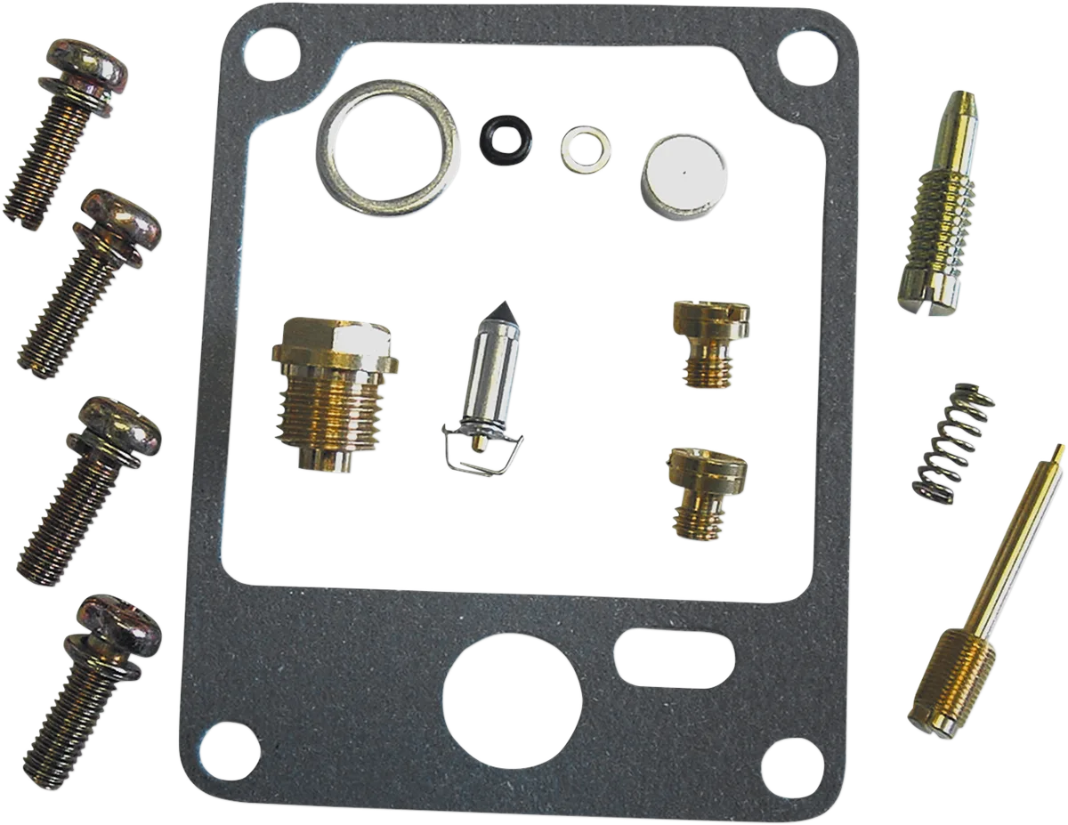 Carburetor Repair Kit