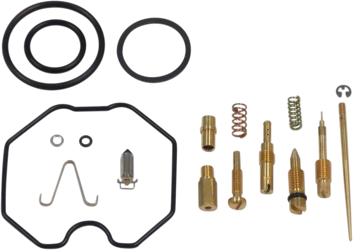 Carburetor Repair Kit