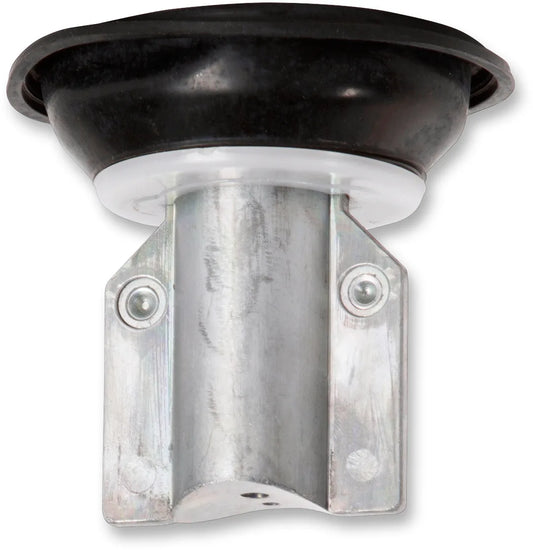 Vacuum Piston Assembly