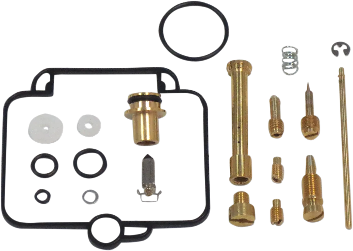 Carburetor Repair Kit