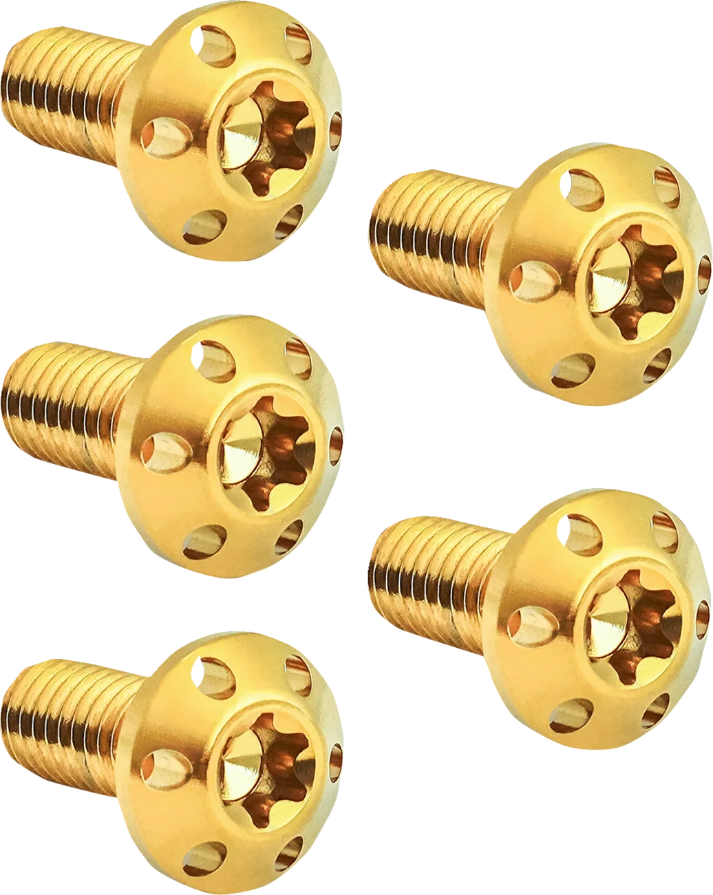 Holeshot Brake Rotor Bolt Kit