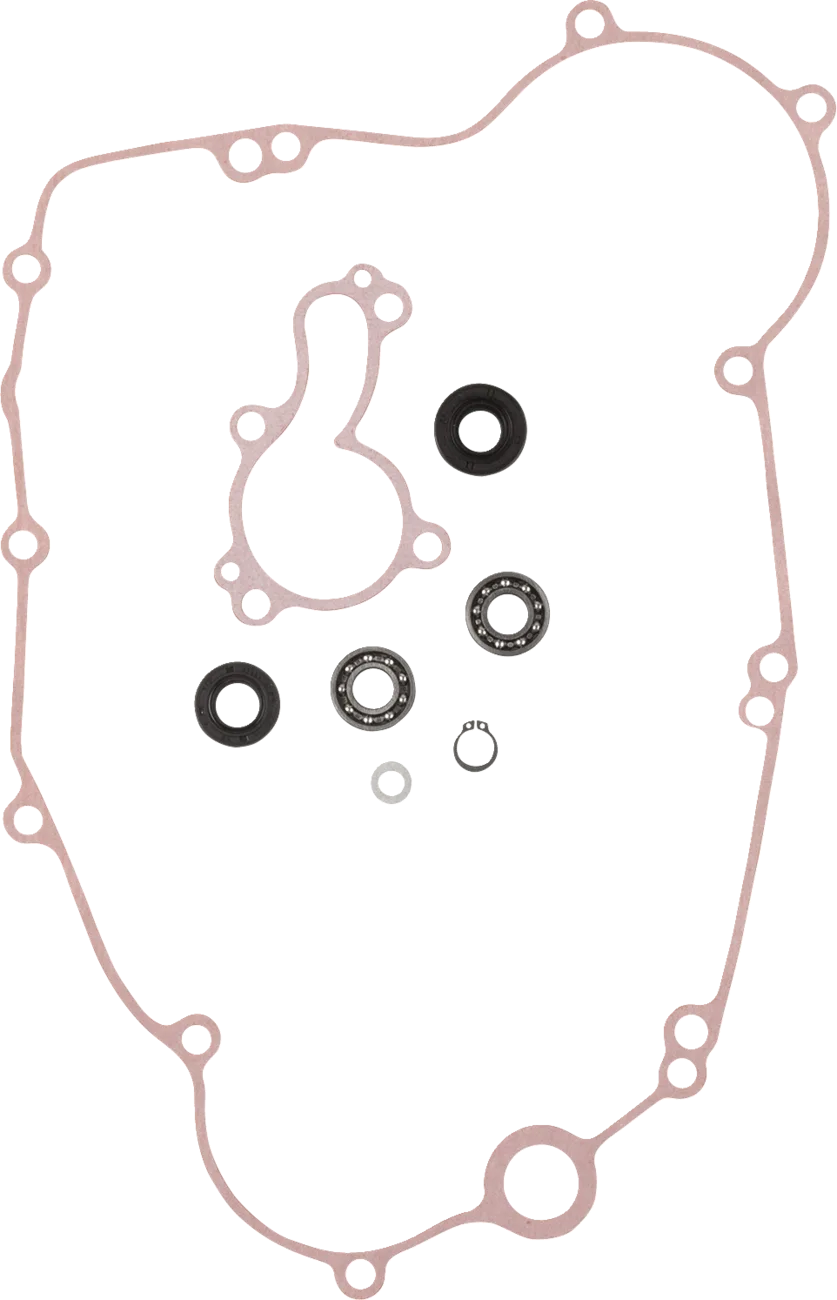 Water Pump Rebuild Kit