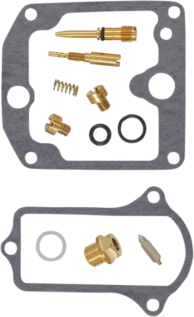 Carburetor Repair Kit