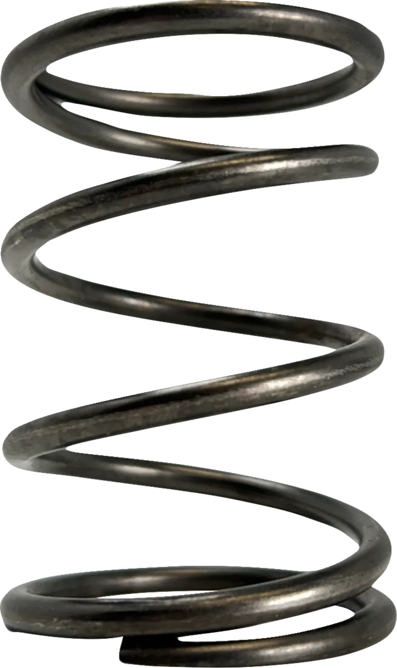 Polaris Primary Clutch Spring
