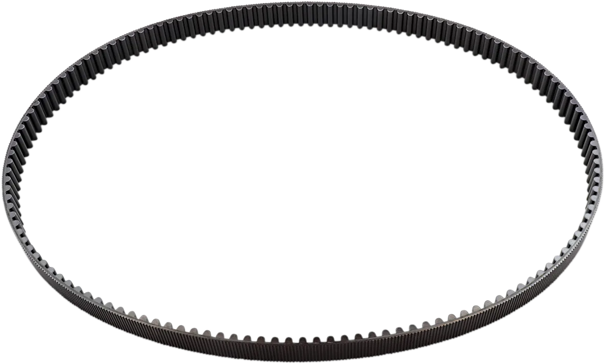 Rear Drive Belt