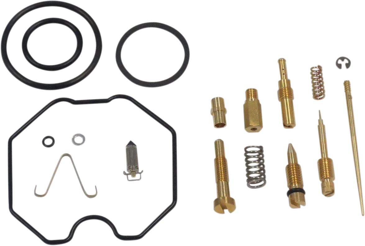Carburetor Repair Kit